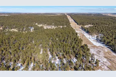 10775 Hardy Road, Colorado Springs, CO 80908 - Photo 7