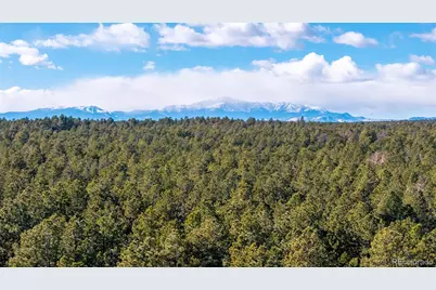 10775 Hardy Road, Colorado Springs, CO 80908 - Photo 1