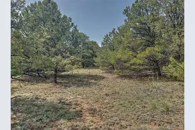 Tbd Lot 34 Corral N, Cotopaxi, CO 81223 - Photo 23