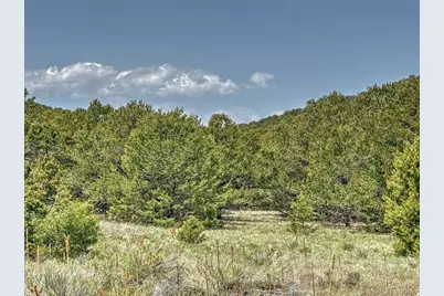 Tbd Lot 34 Corral N, Cotopaxi, CO 81223 - Photo 5