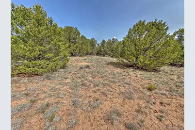 Tbd Lot 34 Corral N, Cotopaxi, CO 81223 - Photo 27