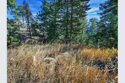 10256 Horizon View Drive, Morrison, CO 80465 - Photo 17