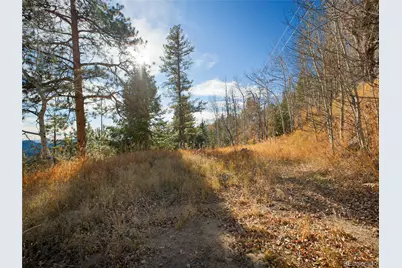 10256 Horizon View Drive, Morrison, CO 80465 - Photo 13