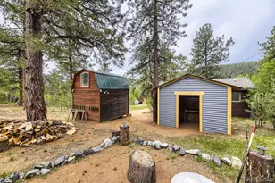 303 Hall Rd, Bailey, CO 80421 - Photo 17