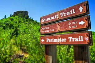 101 Cantril St, Castle Rock, CO 80104 - Photo 37