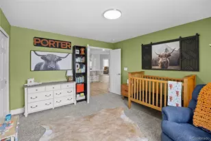 23839 E Narrowleaf Pl, Aurora, CO 80016 - Photo 35