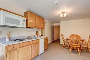 8825 Blue Mountain Dr, Golden, CO 80403 - Photo 33