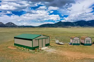 463 Snowshoe Ln, Lake George, CO 80827 - Photo 3