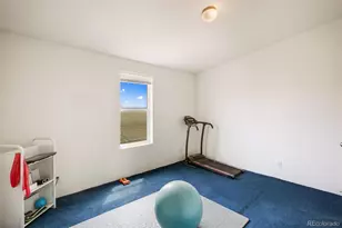 463 Snowshoe Ln, Lake George, CO 80827 - Photo 31