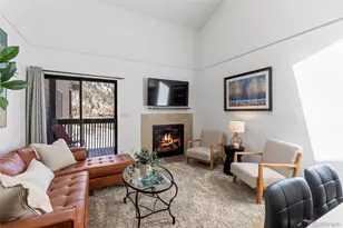 805 S 5th Ave, Frisco, CO 80443 - Photo 9