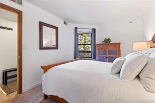 805 S 5th Ave, Frisco, CO 80443 - Photo 21