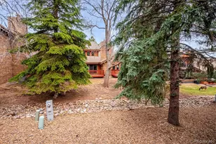 16065 Double Eagle Dr, Morrison, CO 80465 - Photo 9