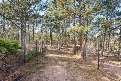 450 Lariat Loop, Monument, CO 80132 - Photo 45