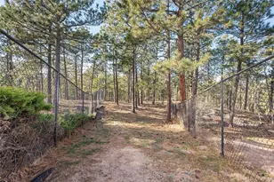 450 Lariat Loop, Monument, CO 80132 - Photo 45