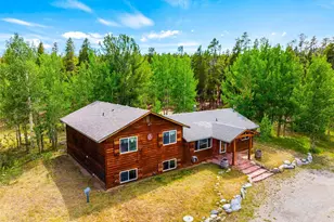 163 Meadow View Ln, Fairplay, CO 80440 - Photo 1
