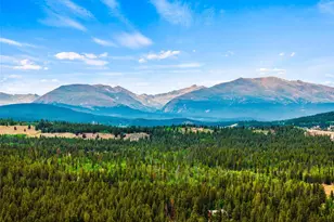 163 Meadow View Ln, Fairplay, CO 80440 - Photo 49