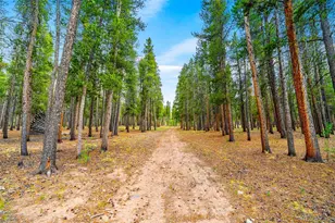 163 Meadow View Ln, Fairplay, CO 80440 - Photo 41