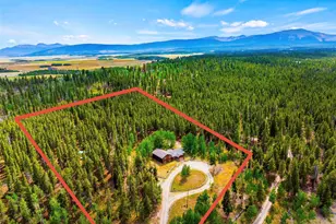 163 Meadow View Ln, Fairplay, CO 80440 - Photo 3