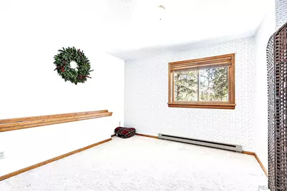 270 Dawson Road, Pine, CO 80470 - Photo 19