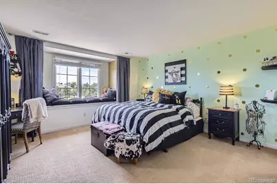 6411 Sand Rose Court, Castle Rock, CO 80108 - Photo 19