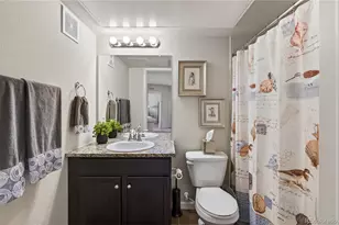 1062 Rockhurst Dr, Highlands Ranch, CO 80129 - Photo 21