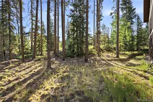 214 Wellington Rd, Breckenridge, CO 80424 - Photo 43