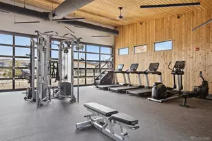 741 Simmental Loop, Castle Rock, CO 80104 - Photo 47