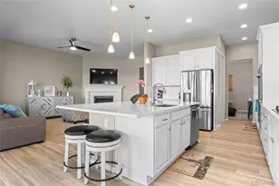 13009 Bridge View Ln, Parker, CO 80134 - Photo 15