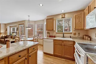 5772 S Truckee St, Centennial, CO 80015 - Photo 11