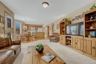 5772 S Truckee St, Centennial, CO 80015 - Photo 23