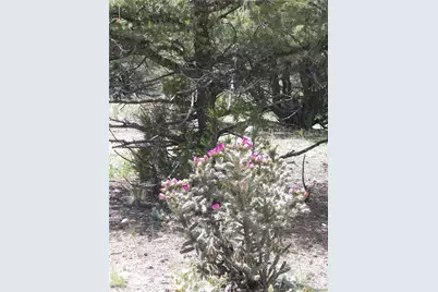 N/A Tbd, Cotopaxi, CO 81223 - Photo 15