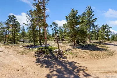 11 Inca Court, Red Feather Lakes, CO 80545 - Photo 7