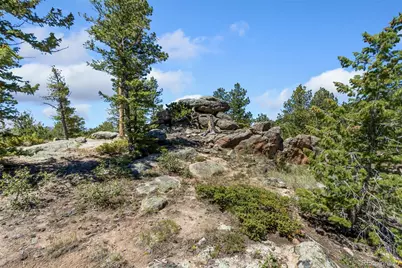 11 Inca Court, Red Feather Lakes, CO 80545 - Photo 11