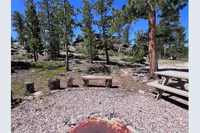 11 Inca Court, Red Feather Lakes, CO 80545 - Photo 29