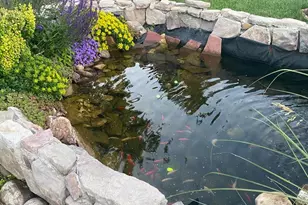 7303 W 59th Ave, Arvada, CO 80003 - Photo 31