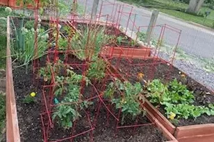 7303 W 59th Ave, Arvada, CO 80003 - Photo 29