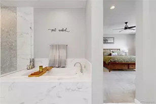 9147 Star Streak Cir, Littleton, CO 80125 - Photo 29