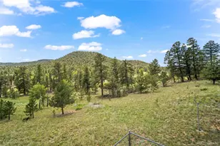 1231 Nova Rd, Pine, CO 80470 - Photo 43