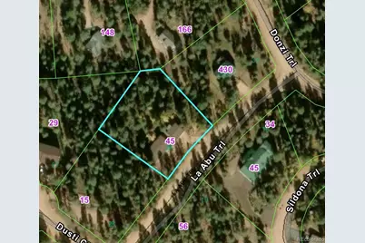 45 La Abu Trail, Florissant, CO 80816 - Photo 19