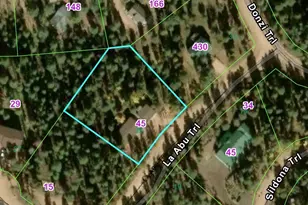 45 La Abu Trail, Florissant, CO 80816 - Photo 19