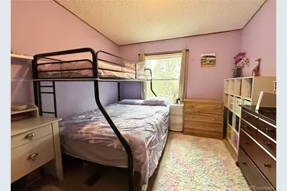 45 La Abu Trail, Florissant, CO 80816 - Photo 9