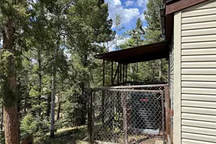 45 La Abu Trail, Florissant, CO 80816 - Photo 17