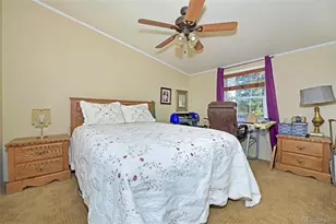 44 Southpark Rd, Florissant, CO 80816 - Photo 29