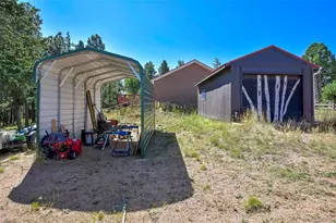 44 Southpark Rd, Florissant, CO 80816 - Photo 5