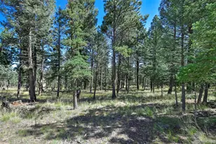 44 Southpark Rd, Florissant, CO 80816 - Photo 9