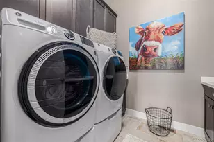 17149 Birds Foot Trail, Parker, CO 80134 - Photo 19