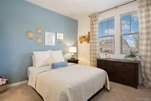3719 Mojo Crt, Castle Rock, CO 80108 - Photo 19