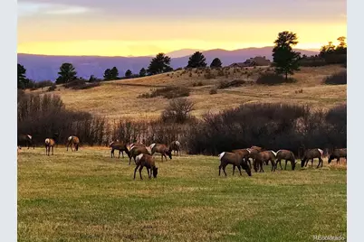 2517 Tournament Drive, Castle Rock, CO 80108 - Photo 47