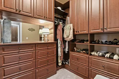 10357 Bluffmont Drive, Lone Tree, CO 80124 - Photo 23