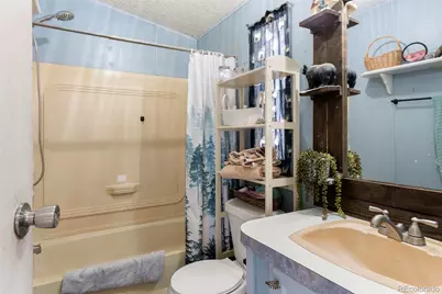 171 Star View Trail, Divide, CO 80814 - Photo 9